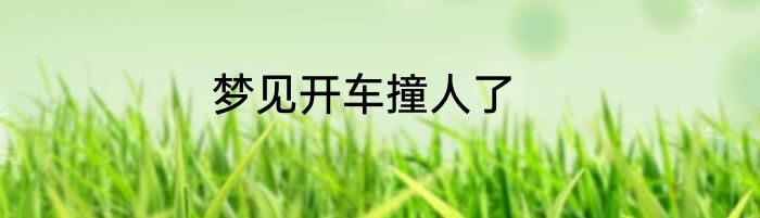 梦见开车撞人了