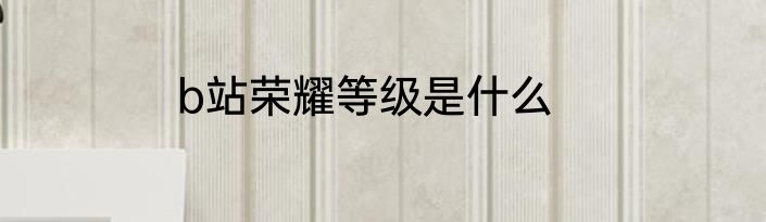 b站荣耀等级是什么