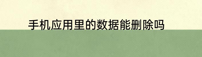 手机应用里的数据能删除吗