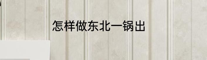 怎样做东北一锅出