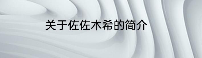 关于佐佐木希的简介