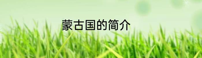 蒙古国的简介