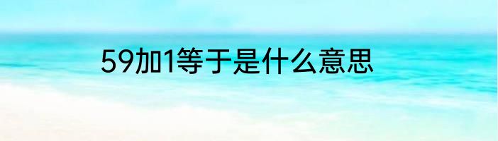 59加1等于是什么意思