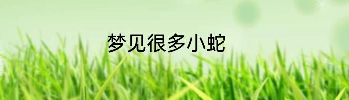 梦见很多小蛇