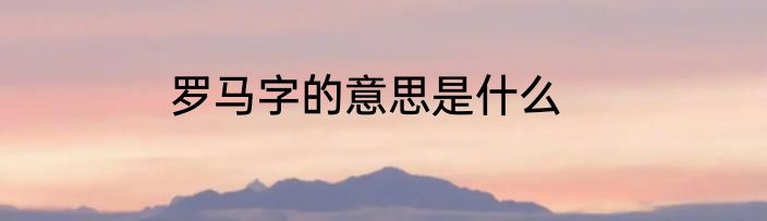 罗马字的意思是什么