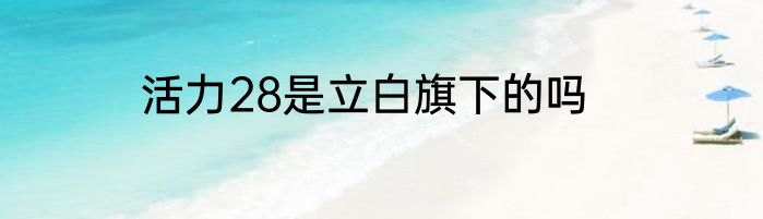 活力28是立白旗下的吗