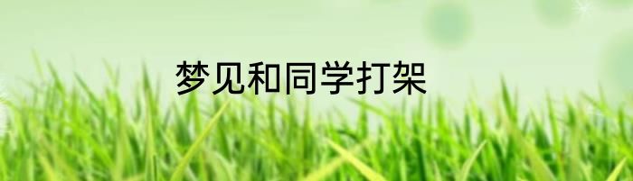 梦见和同学打架