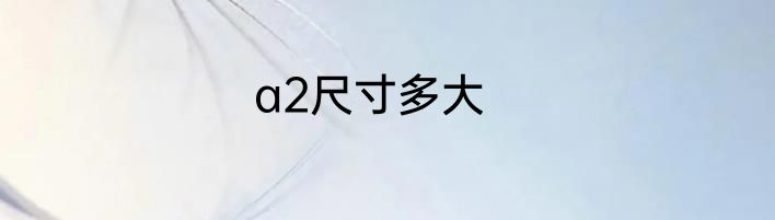 a2尺寸多大