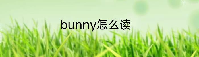 bunny怎么读