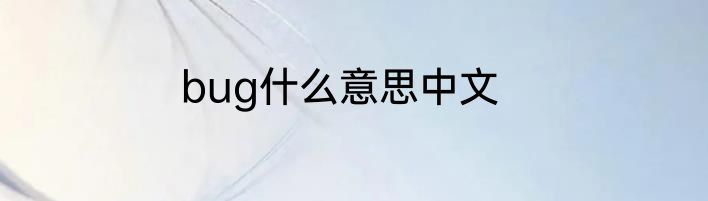 bug什么意思中文