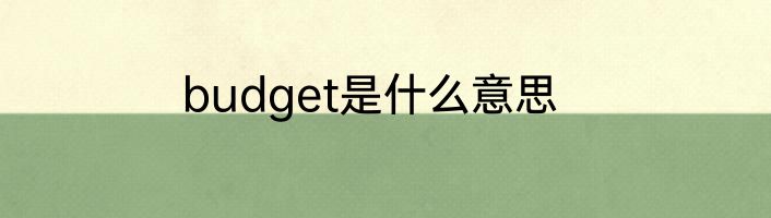budget是什么意思