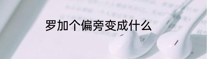 罗加个偏旁变成什么