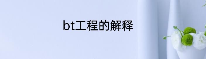 bt工程的解释