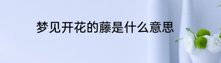梦见开花的藤是什么意思