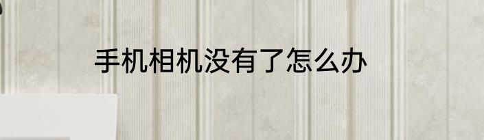 手机相机没有了怎么办