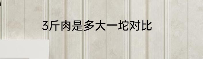 3斤肉是多大一坨对比