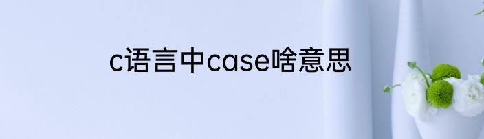 c语言中case啥意思