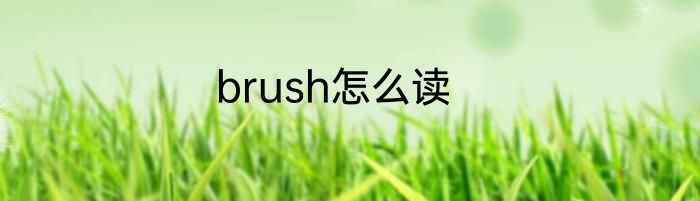 brush怎么读