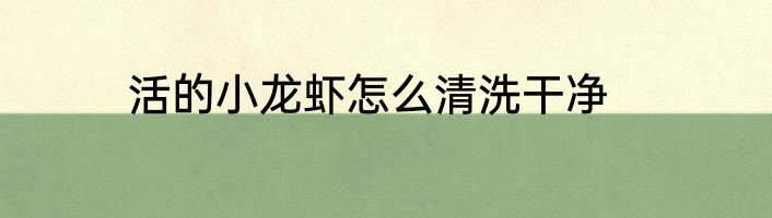 活的小龙虾怎么清洗干净