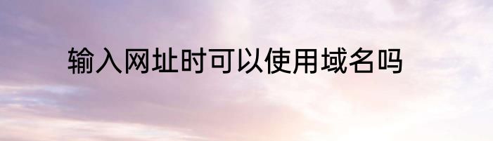 输入网址时可以使用域名吗