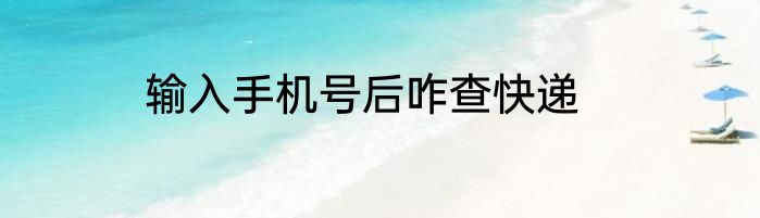输入手机号后咋查快递