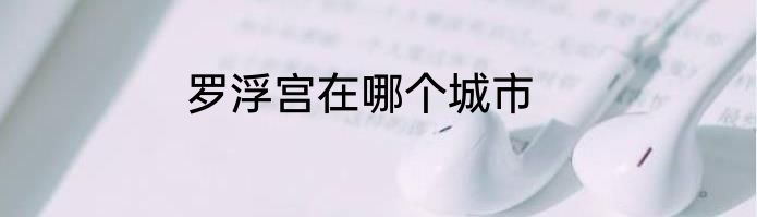 罗浮宫在哪个城市