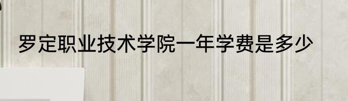 罗定职业技术学院一年学费是多少