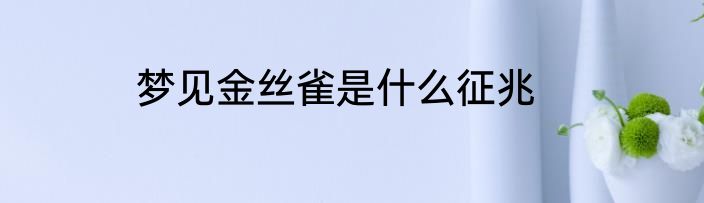 梦见金丝雀是什么征兆