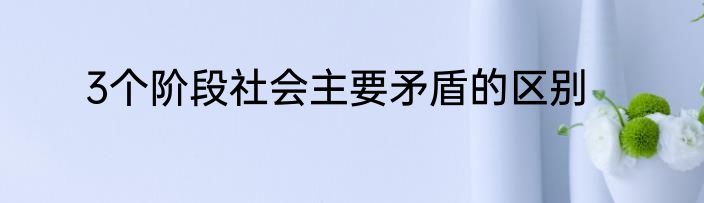3个阶段社会主要矛盾的区别
