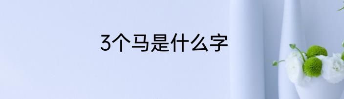 3个马是什么字