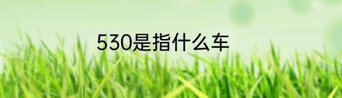 530是指什么车
