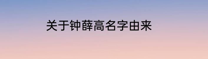 关于钟薛高名字由来