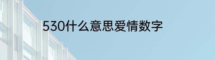 530什么意思爱情数字