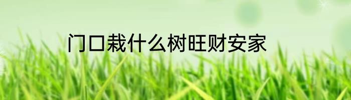 门口栽什么树旺财安家