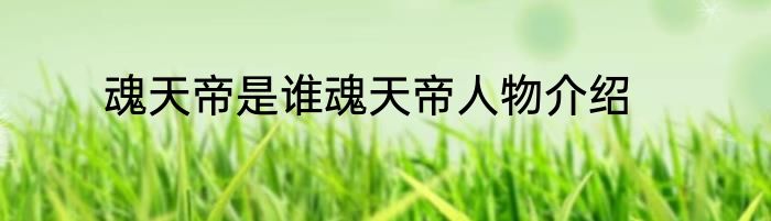 魂天帝是谁魂天帝人物介绍
