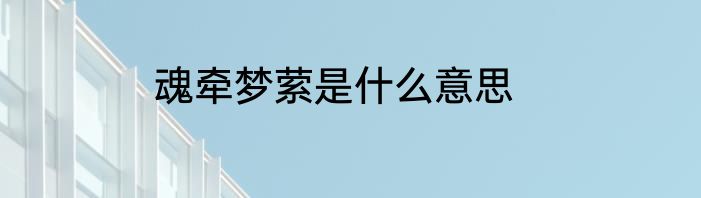 魂牵梦萦是什么意思