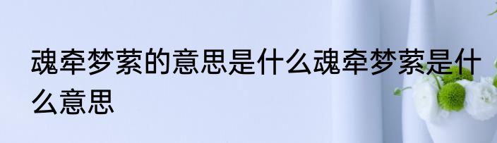 魂牵梦萦的意思是什么魂牵梦萦是什么意思