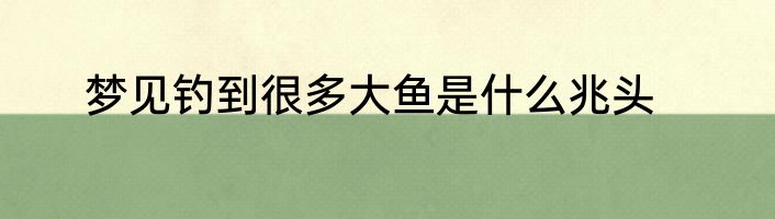 梦见钓到很多大鱼是什么兆头