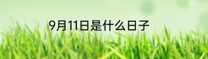 9月11日是什么日子