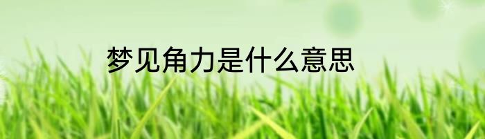 梦见角力是什么意思