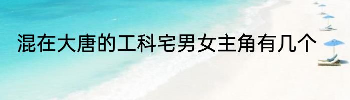 混在大唐的工科宅男女主角有几个