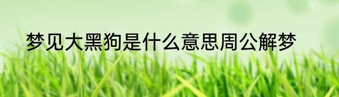 梦见大黑狗是什么意思周公解梦