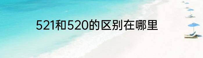 521和520的区别在哪里