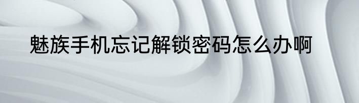 魅族手机忘记解锁密码怎么办啊