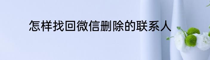 怎样找回微信删除的联系人