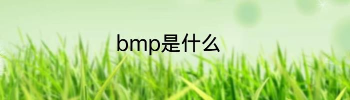 bmp是什么