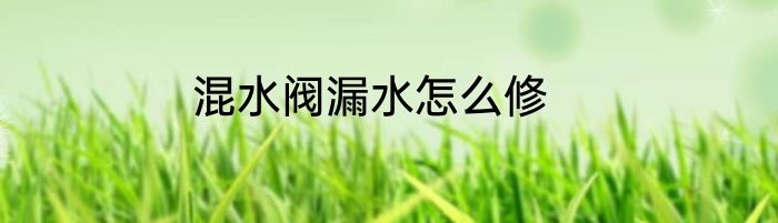 混水阀漏水怎么修