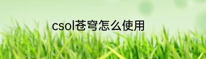 csol苍穹怎么使用