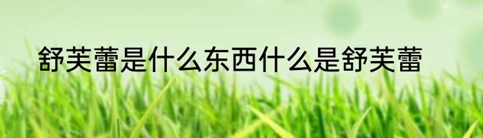 舒芙蕾是什么东西什么是舒芙蕾