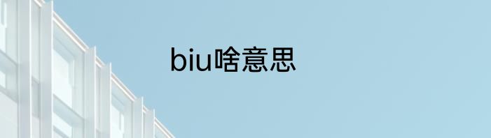 biu啥意思